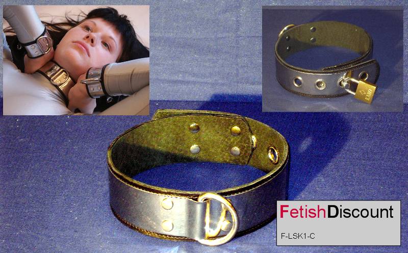 Abschliebares Halsband aus Edelstahl  Leder / Lockable stainless steel collar
