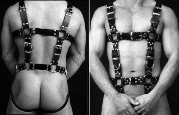 Ganzkörper Harness/ unisex leather harness